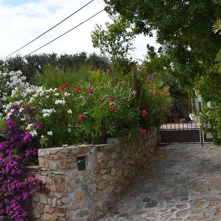 Apartment Les Moulins Saint-Tropez Kültér fotó