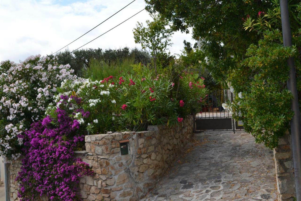 Apartment Les Moulins Saint-Tropez Kültér fotó